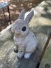 Pair of Resin Garden Rabbit Statues - 5