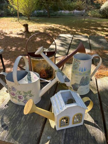 Decorative Metal Watering Cans