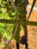 Pair of Metal Hanging Basket Planters - 4