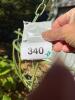 Pair of Metal Hanging Basket Planters - 9