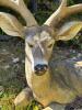 Large Outdoor Resin Deer Statue - 2