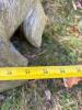 Resin Deer and Fawn Outdoor Garden Statue - 6