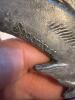 Spooniques Dolphin Pewter Wind Chimes - 3