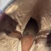 Brown Leather Western Cowboy Boots - 6