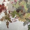 10" x 8" Framed Herb Robert Botanical Art, Signed - 5