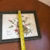 10" x 8" Framed Herb Robert Botanical Art, Signed - 7