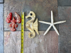 Nautical Decor Collection - 3