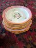 Adams Calyx Ware Hand Painted Floral Dinnerware Set - 6