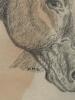 18" x 15" Framed Drawing of Horses - 2
