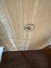 Windsor-Style Dining Chairs with White Spindle Backs - 5