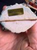 Assorted Noah's Ark Figurines and Ornaments Collection - 5