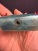 Adorable Handbag-Shaped and Finial-Form Glass Christmas Ornaments Lot - 7