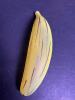 Hand-Painted Banana-Shaped Glass Christmas Ornament - 3