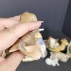 Homco Porcelain Nativity Figurines Set in Traditional Style - 5