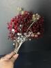 Christmas Wreaths, Berry Sprays, and Plush Gnome Decoration - 6
