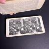 Holmes Stereoscope Viewer with Stereograph Cards and Booklet - 11