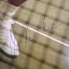 20&rdquo; x 30&rdquo; Signed Martina Navratilova Poster - 5