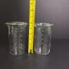 Pair of Pyrex Glass Laboratory Beakers - 6