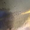 F.B. Rogers Silver Co. Ornate Rectangular Silverplate Tray - 4