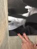 Apple Think Different 24" x 36" Poster Featuring Gandhi, 1997 - 2