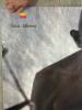 Apple Think Different 24" x 36" Poster Featuring Gandhi, 1997 - 4