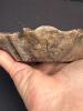 Carved Stone Leaf-Form Bowl with Lotus Pod Decoration - 2