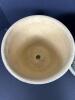Pair of Pottery Flower Pots with Saucers - 3
