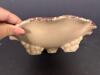 German Majolica-Style Footed Pottery Bowl with Grape Relief - 2