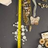 Assorted Costume Jewelry Necklaces and Earrings - 10