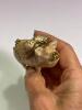 Decorative Metal Trinket Box Pig - 4