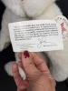 Vermont Teddy Bear Company Jointed Plush Teddy Bears - 4