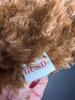 Vermont Teddy Bear, Gund Bear & TY Bear Plush Toys - 6