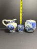 Blue and White Transferware Willow-Style - 6