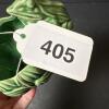 Presumed McCoy Green Glazed Frog and Lily Pad Planter - 9