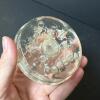Glass Flower Frog - 3