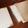 Antique Wild Flowers of America Botanical Illustration Book, 1894 - 6