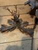 Black Forest Hunting Themed Cuckoo Clocks for Parts or Repair - 3
