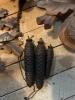 Black Forest Hunting Themed Cuckoo Clocks for Parts or Repair - 6