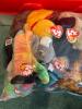 Ty Beanie Babies Plush Toy Lot#2 - 7