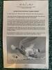 Danbury Mint Playing Footsie Porcelain Baby Doll - 6