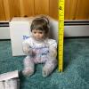 Danbury Mint Peek-A-Boo Porcelain Baby Doll with Accessories and Box - 9
