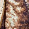 Floral Patterned Plush Blanket - 6