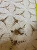 Handmade Crochet Cotton Coverlet - 5