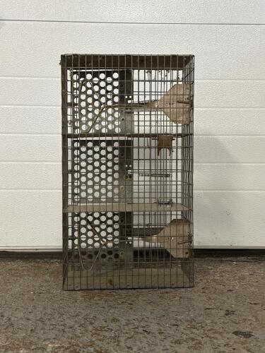 Wire Mesh Multi-Chamber Have-A-Heart Trap