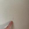 Skyline Furniture White Upholstered Headboard - 7