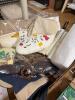 Craft Fabrics and Handmade Decorative Items