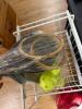 Sports Equipment and Accessories - 3