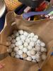 Sports Equipment and Accessories - 5