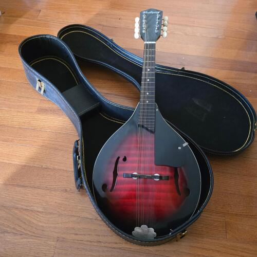 Harmony Mandolin with Sunburst Finish and Case