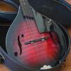 Harmony Mandolin with Sunburst Finish and Case - 2